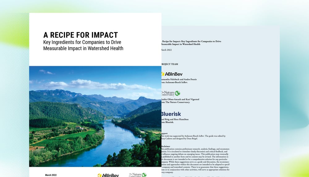 A Recipe for Impact: Key Ingredients for Companies to Drive Measurable Impact in Watershed Health