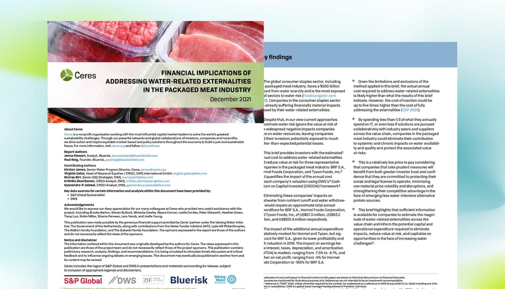 Financial Implications of Addressing Water-Related Externalities in the Meat Sector