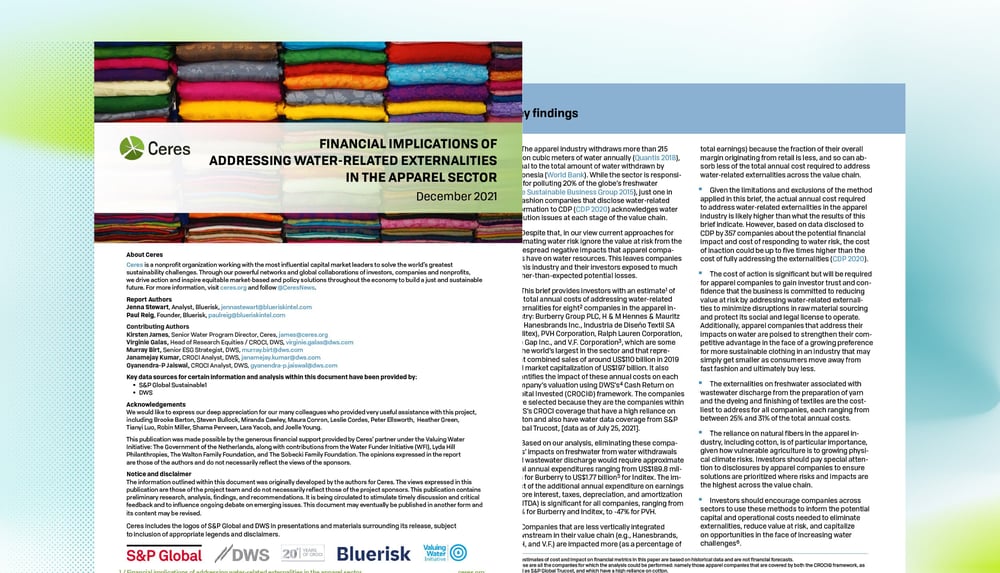 Financial Implications of Addressing Water-Related Externalities in the Apparel Sector