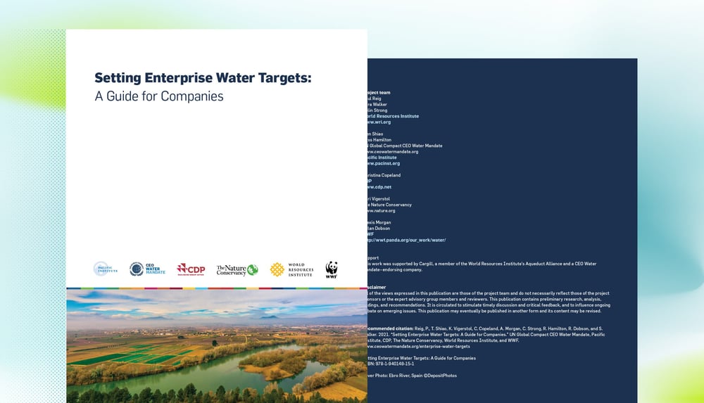 Setting Enterprise Water Targets: A Guide For Companies