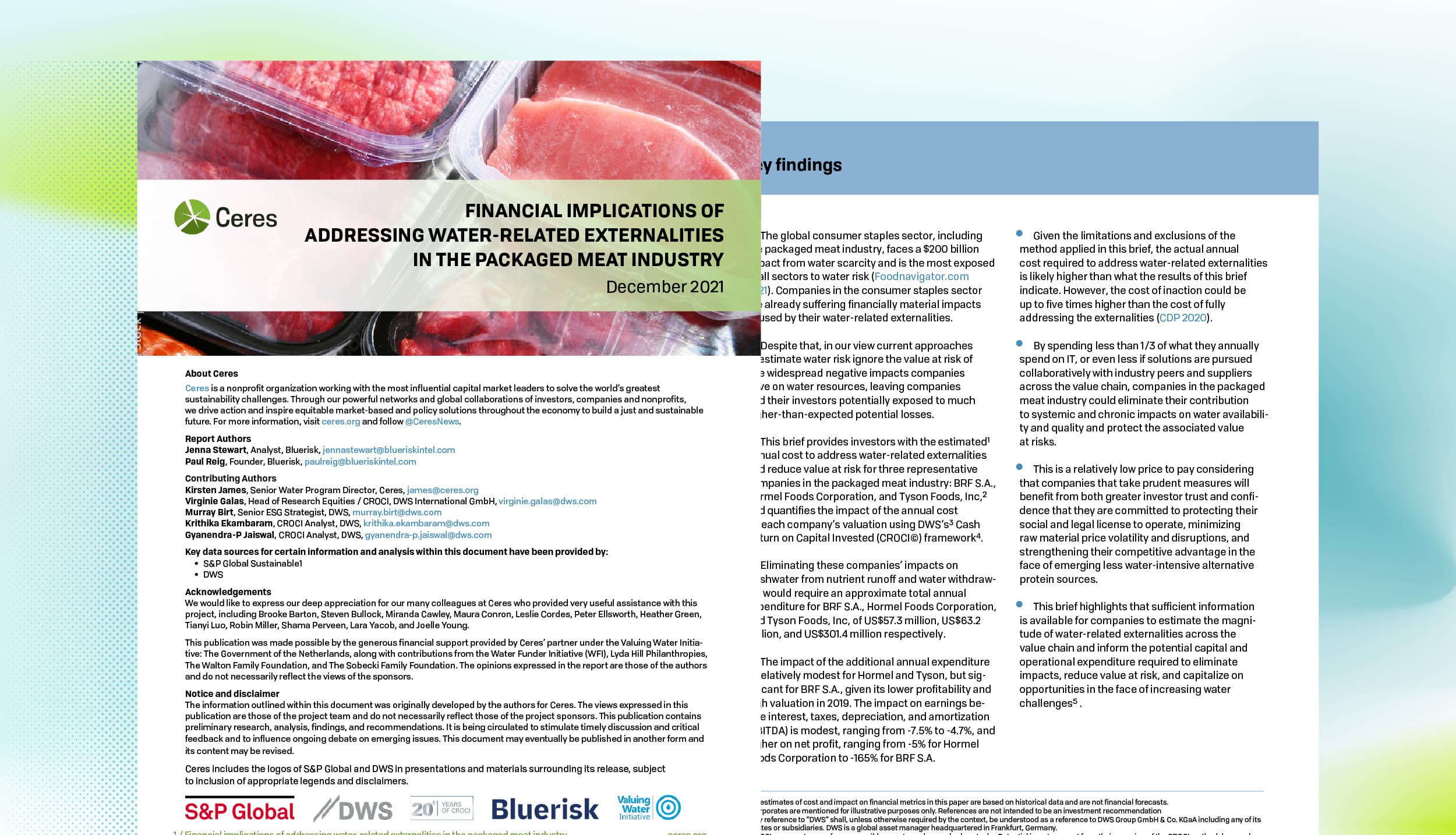 Financial Implications of Addressing Water-Related Externalities in the Meat Sector